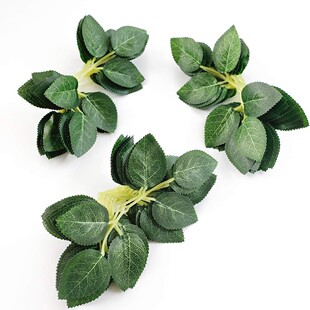 ��������zӡõ���~ �z�W��õ�廨�����~�� õ�����~���~��