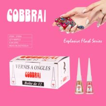 OK����ָ���� COBBRAI�羳������������˺����������ָ���ͽ���װ