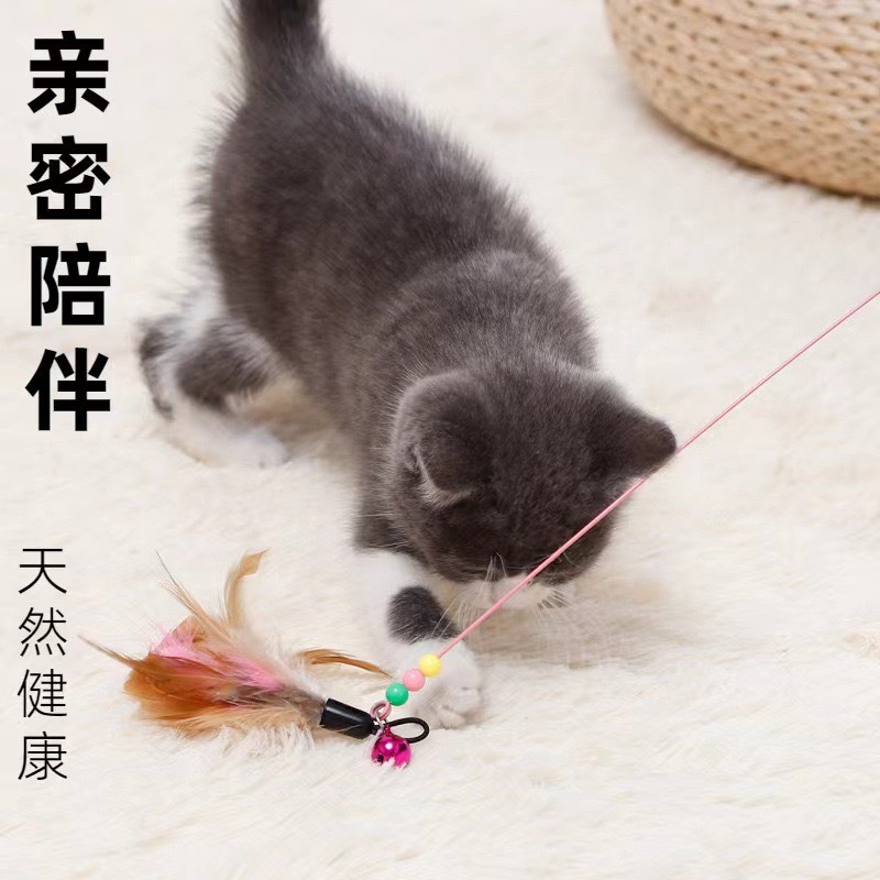 ペット猫のおもちゃワイヤーフェザーキャットポール猫インタラクティブ弾性フェザーセルフエンジョイ耐性のある噛みつきロングポール猫ポール|undefined
