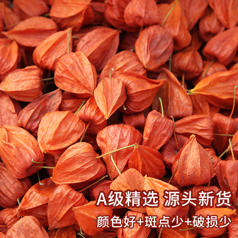 New Arrivals from the Source [A-Grade Premium Sour Berries] New Year's Eve Flower Lantern Red Girl Handmade DIY Material Kit Dried Fruit