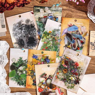 Yuezhen Natural Story Series Handbook Sticker Pack Children's Handbook Sticker Creative Retro Plant Material Paper 60