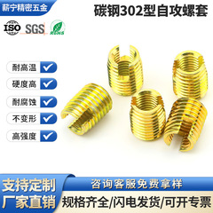 炭素鋼302タッピングスクリューセットタッピングスクリューセット溝付きねじ保護カバーm 2m 3m 4m 5m 6m 8m 10m 12m 14