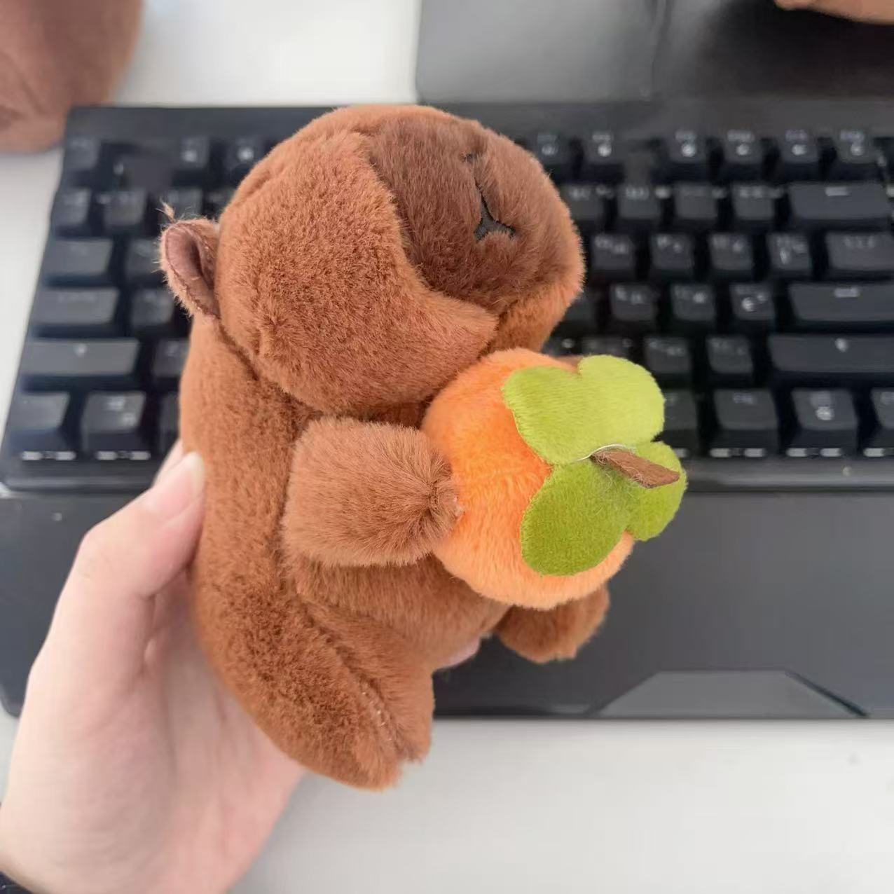 仏陀系の萌えはかわいいカピバラの君をかわいがります。