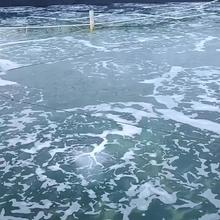 管防堵型鱼鳞纳米管管管曝气气管规格齐全水产增氧爆用养殖微孔