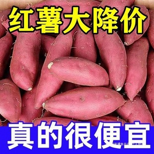 �t�����r�������l����ɳ�������ع��۰���5�S�ķ���ʳ���r�aƷ