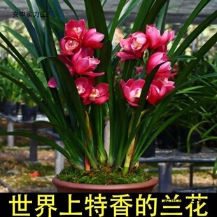 �ͺ��͟���B�ļ��_���m�������ͽ��mޥ�m���m���������F��ާ