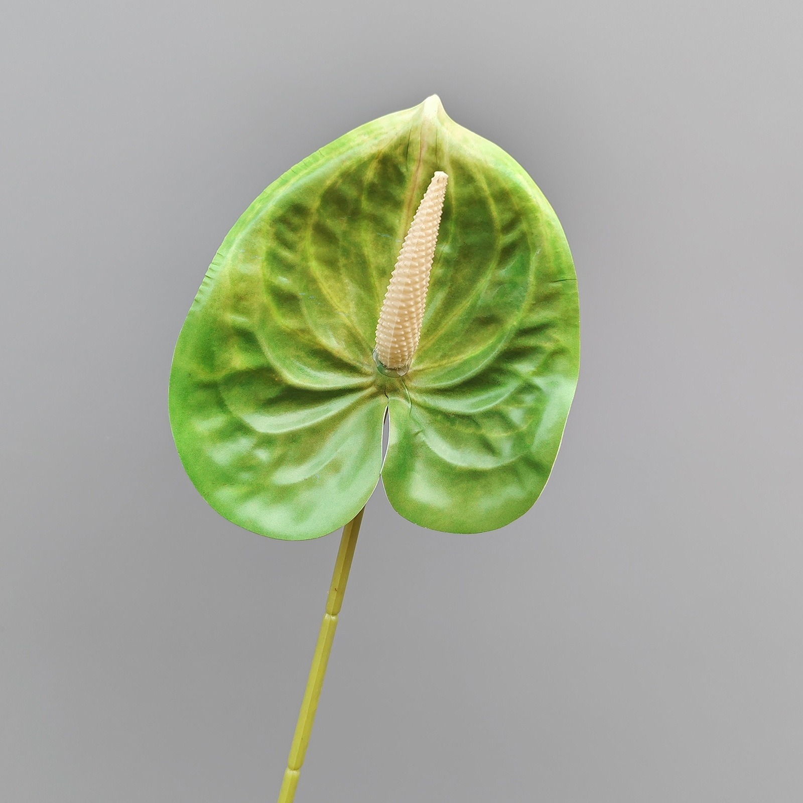 3D 손바닥