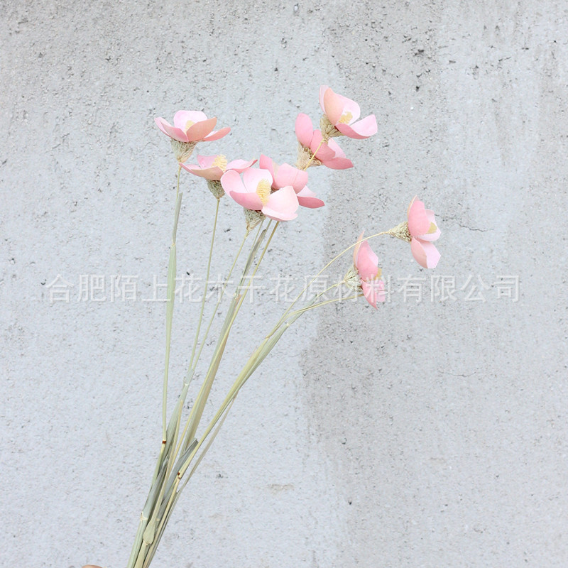 핑크(12개들이 1다발)