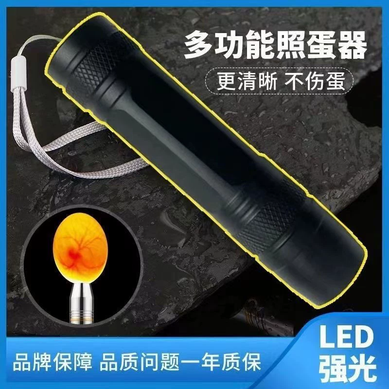 Яйцо-устройство инкубатор можно заряжать LED-фонарик маленький яичный осмотр машинка Руидиня скорость оплодотворения яйца, лампа для яйца оптом