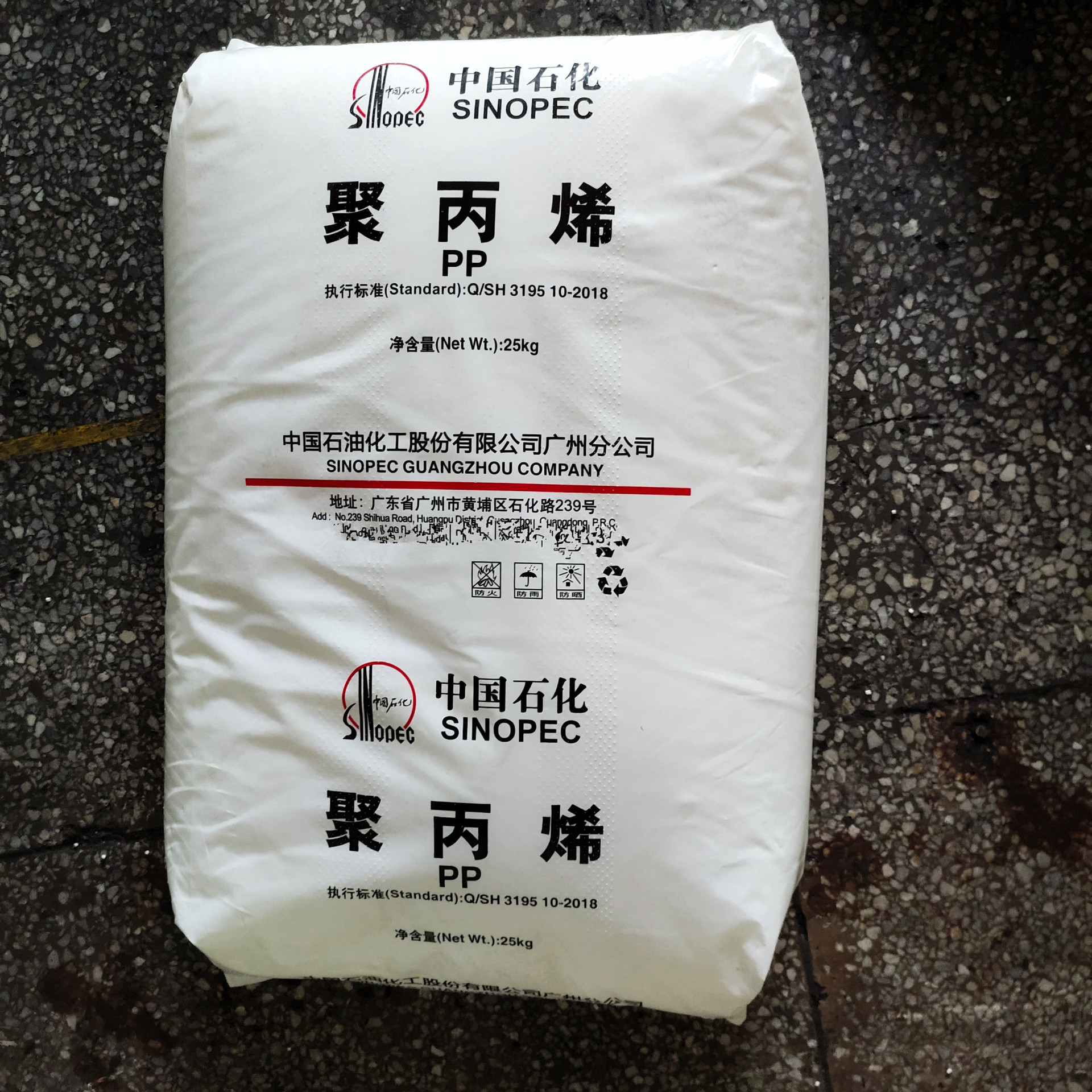 PP 湛江东 PPH-T03  高强度  拉丝  透明 塑胶