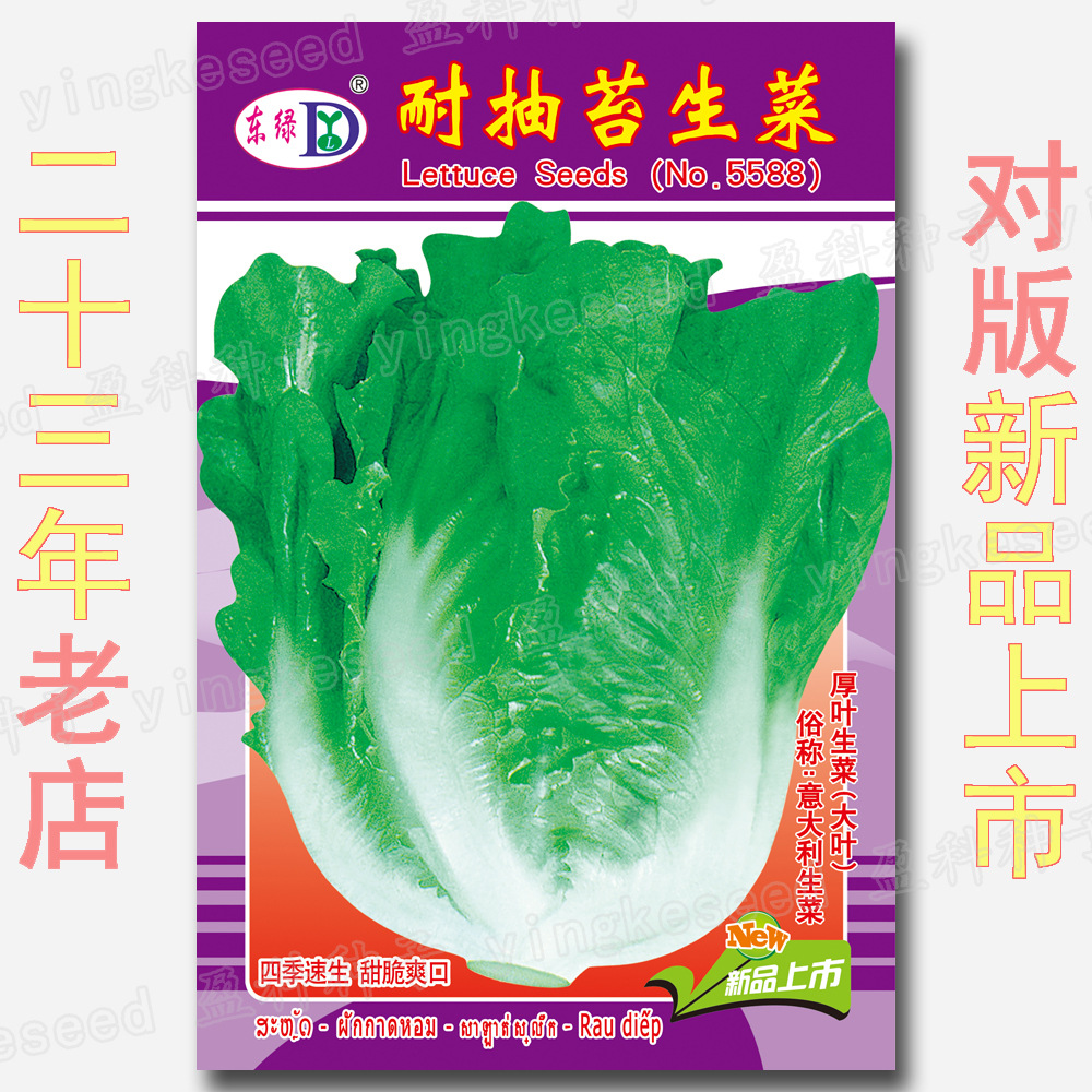 Bolting-Resistant Lettuce Seeds, Farm Garden Soft Lettuce Seeds, Vegetable Seeds, Italian Lettuce Seeds
