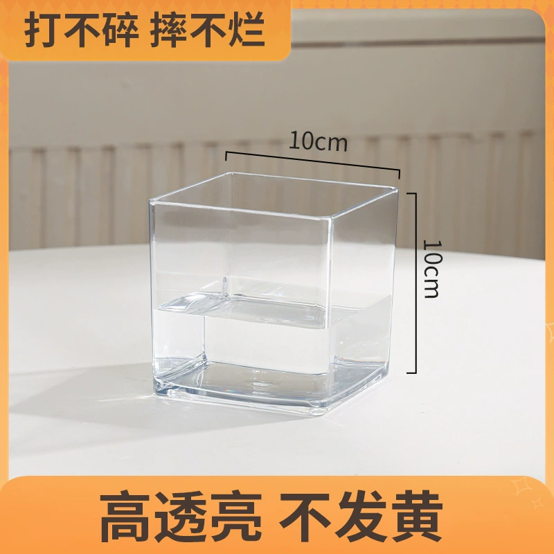 Transparent Square Hydroponic Vase, Desktop Shatterproof Planter, Multiple Sizes (8–30 cm)