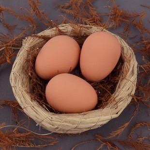 Simulated Egg Prank Toy, Elastic Rubber Solid Prank Prop for Pet Teething, Chicken Coop Egg-Laying Guide