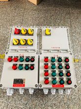 防爆配电箱接线实物图.防爆配电箱型号与价格
