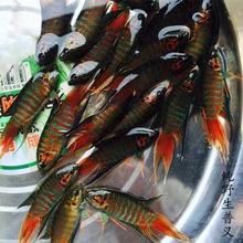 �Ї����~���~Ұ���ղ��^�p�~���B�ͻ�С���䵭ˮ�B�����đ����~��