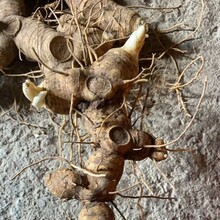 �V��Ұ���S���V���خa��ș�����lԴ�^�a����ֻ�S��