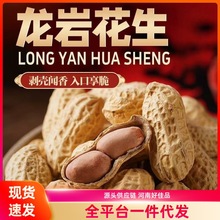 龙岩花生咸香酥脆美味小酒零食剥壳闻香入口享脆人工挑选好吃下酒