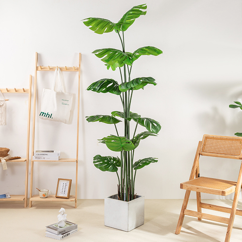 Simulación de estilo nórdico, plantas verdes, monstera, plantas en macetas, sala de estar grande, decoración de bonsai de interior, plantas de tortuga