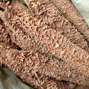 �F�仨500�� ���] �F���ۻ���؛ ���� �F���250����؛��؛��؛��