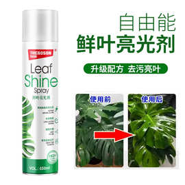 鲜叶光亮剂官方鲜切花保鲜剂玫瑰百合植物通用型营养液鲜花保鲜液