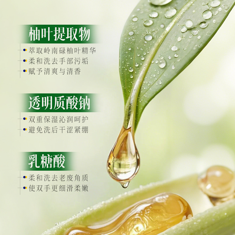 奢此碌柚叶舒爽洗手液大容量不伤手泡泡洗手露家用酒店洗手液批发|undefined