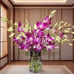 �͏d�[�Ż�����r��������ɫֱ�l��ͥ�廨�m���M��̩�����m�b�