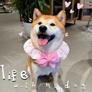 Pet Headgear Lace Plaid Bow Collar Bib Beauty Card Golden Hair Big Ears Long Hair Dog Ear Cover