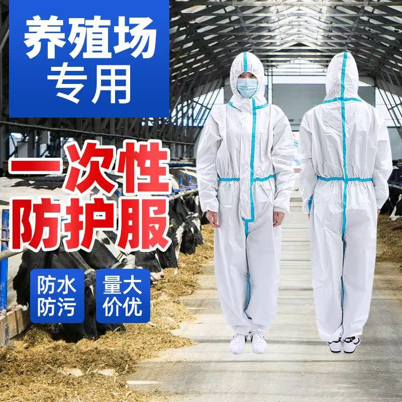 一次性防护服 养殖场防护服 农药喷洒防护服 打磨喷漆防尘