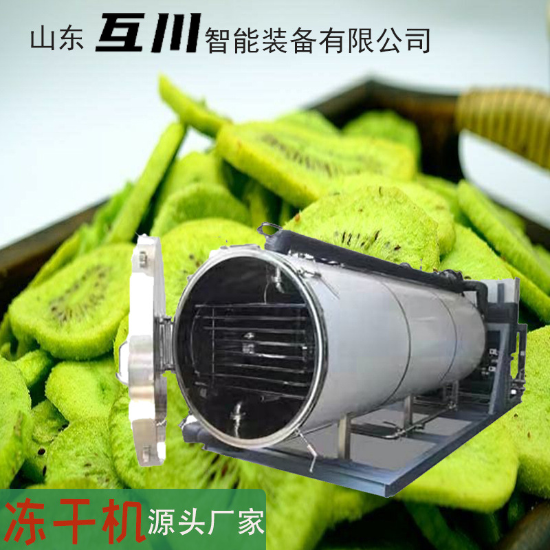 食品果蔬柠檬片冻干机 海产品真空冷冻干燥机 三文鱼冻干流水线