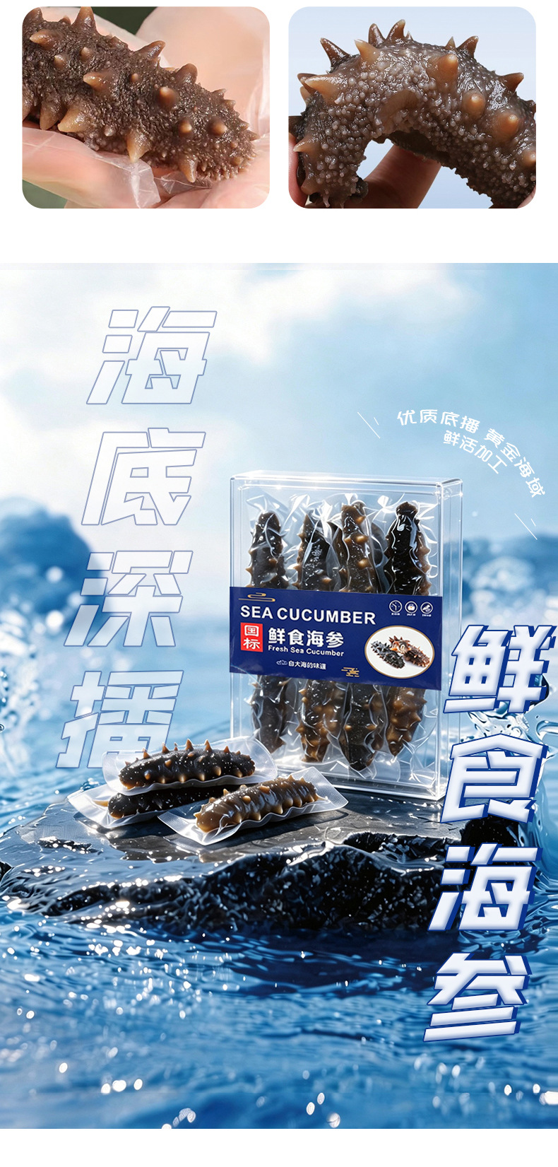 Ready to Eat Sea Cucumber 500g Individually Packed Frozen Liaoning Style Sea Cucumber specifications