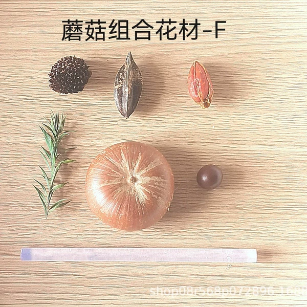 Materials set with clove mushrooms