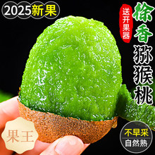 ���ü�h����J�������r�����������a��ֱ�l�G���殐���Y��