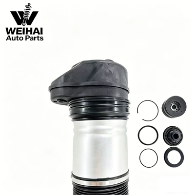 damping system Suspension Shock Absorber Semi-Assembly