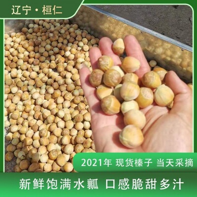 2021 fresh Hazelnut new goods Northeast Skin water Benxi Huanren Raw hazelnut 500g