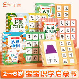 幼儿识字早教安静书宝宝启蒙粘贴书儿童魔术贴卡片益智玩具认字卡