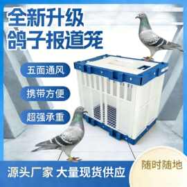 新品信鸽报道笼探视笼比赛训放笼鸽子笼信鸽运输笼赛鸽放飞塑料笼