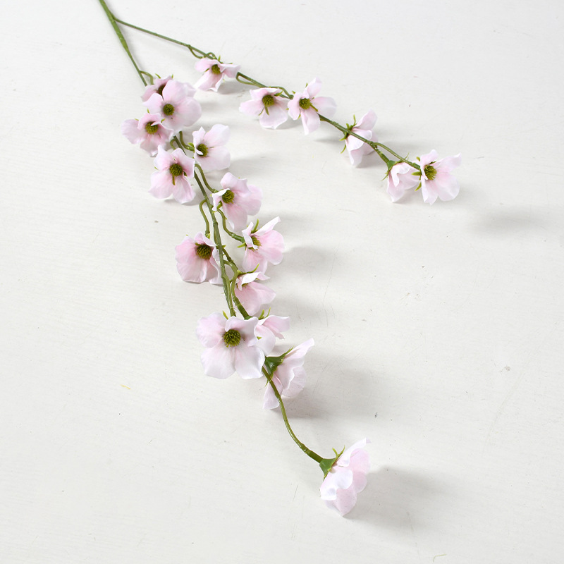 Manzano silvestre de rama alta con dos puntas