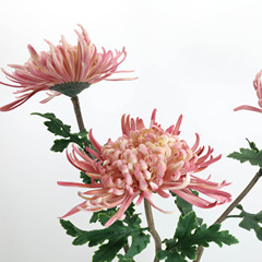 ソフトジェル大菊の造花芸術生け花蟹爪菊装飾花頭飾り結婚祝い客間花芸