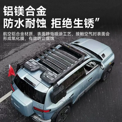 Ladder Roof Expansion Luggage – Roof rack