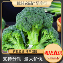 ���r���m��500g �����໨�˾G�������{��Ҭ�˕r���߲� �M5�����]