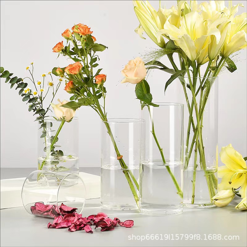 Vaso de vidrio decorativo transparente nórdico ins viento sala de estar decoración creativa vasijas de vidrio flores secas al por mayor hidroponic
