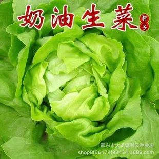 �ļ��������˷N�ӿ������̨�����ļ��͟��߲˷N���r�Ҳ������˷N