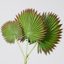 PU������������~����~���~�����~�Ž��~�������ÔzӰ�宋�[��