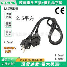 �WҎ����ֱ�^16A�M��Ʒ��β�Դ��3*2.5ƽ���W�������Դ���L��