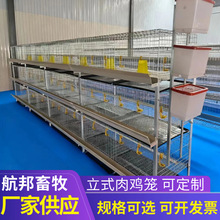 三层立式肉鸡笼层叠式含托粪盘塑料网水箱鸡舍养殖厂用鸡鸭笼子