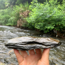 溪流石片石天然鱼缸造景石原生石南美缸装饰千层石乌龟晒台岩石