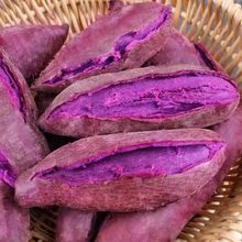沙地番薯紫心蜜薯现挖红薯紫罗兰地瓜蔬菜批发/斤
