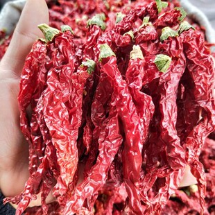 �a�����l �������G�l  �v��  ΢������l������  ΢������ 500g