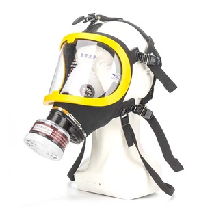 Spot Wholesale Anti-Virus Full-Face Mask Spray Paint Chemical Pesticide Anti-Formaldehyde Protection Large Field of View Silicone Gas Mask