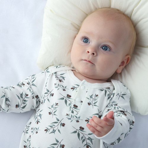 Cross-border baby spring jumpsuit foreign trade ins style baby clothes baby spring and autumn pure cotton boneless crawling clothes